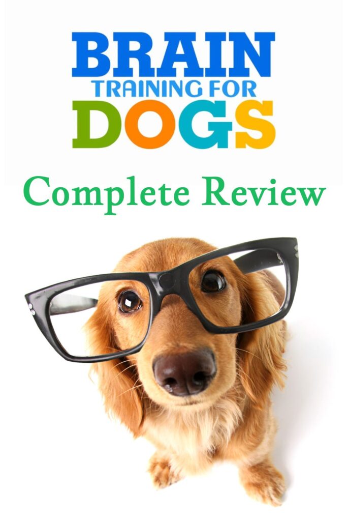 brain training for dogs